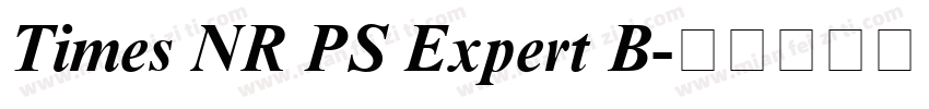 Times NR PS Expert B字体转换